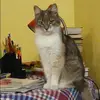 Отзыв от Роза Полякова